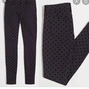 J.Crew Factory velvet flocked Gigi polka dot ponte pant size 00